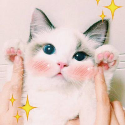 �ɰ�è��ͷ�������� �㶮�����Ǹ�è��Ů����