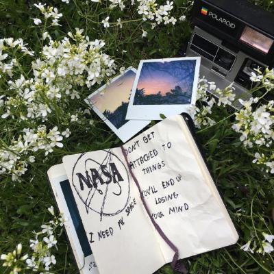 С���¸�������ͼƬ--�����ݲݵ�����