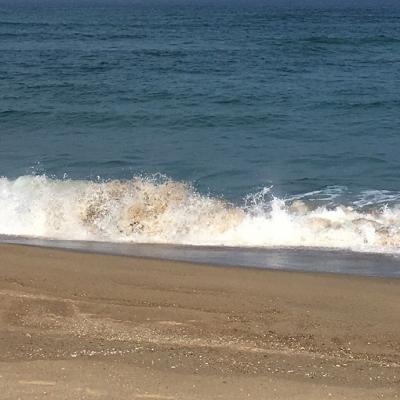 С���¸�������ͼƬ--�����ݲݵ�����