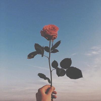 С���¸�������ͼƬ--�����ݲݵ�����