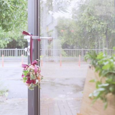 С���¸�������ͼƬ--�����ݲݵ�����