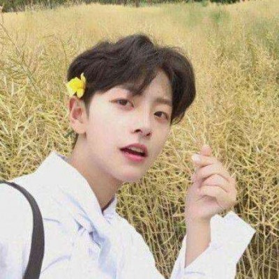 ��ק�����߰�������΢��ͷ��