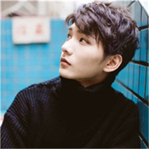 ɭϵ��ˬ˧������ͷ�� �����ͣ�������