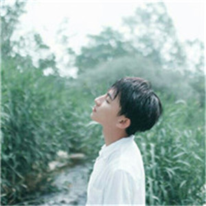 ɭϵ��ˬ˧������ͷ�� �����ͣ�������