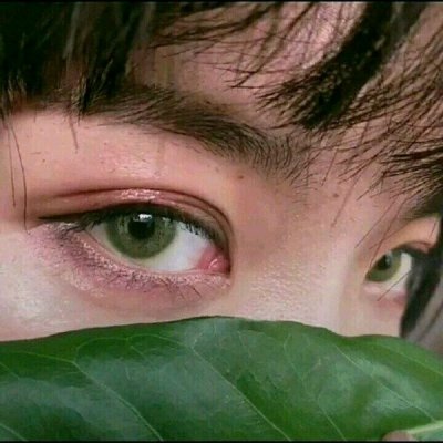 �ɰ������Ӿ���ͷ��--�Կɰ������