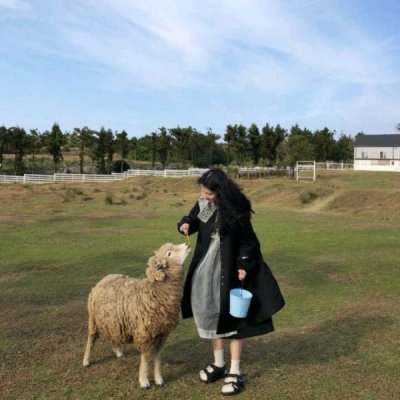 �ɰ������Ӿ���ͷ��--�Կɰ������