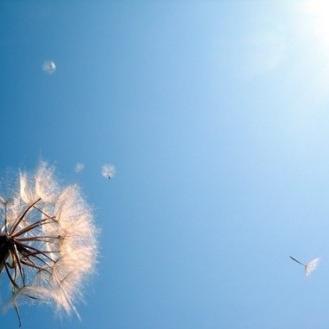 Ψ���ÿ������ͷ��