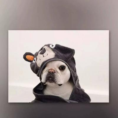 �������˵Ŀɰ�������΢��ͷ��