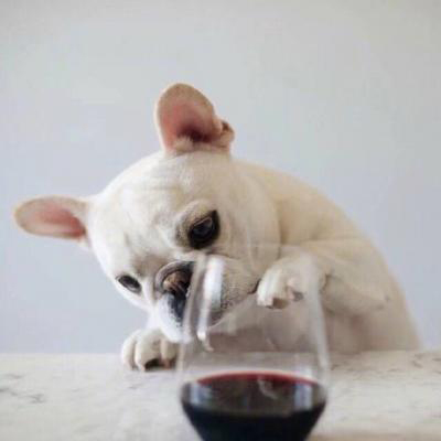 �������˵Ŀɰ�������΢��ͷ��