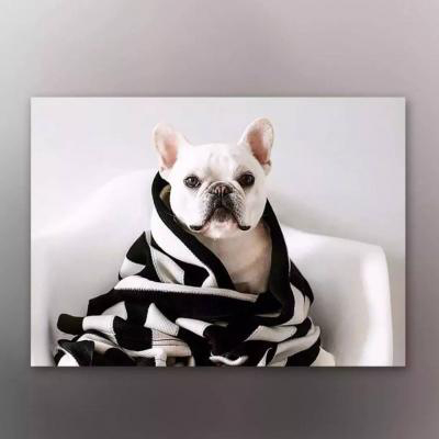 �������˵Ŀɰ�������΢��ͷ��