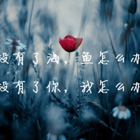 ΢��ͷ�����ͼƬ�˸з羰��ȫ ���ܻ������