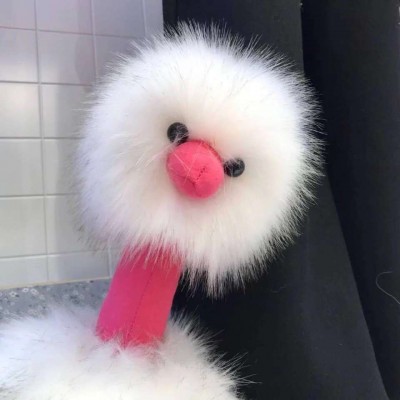 ���������Ķ�㿨ͨͷ��