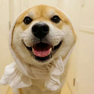 �ɰ���С����ϵ��ͷ��--²�������