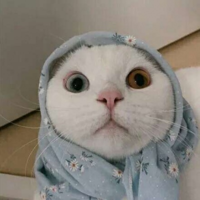 �ɰ���С����ϵ��ͷ��--²�������