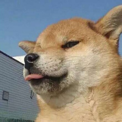 �ɰ���С����ϵ��ͷ��--²�������