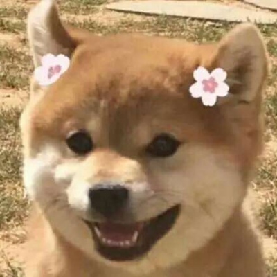 �ɰ���С����ϵ��ͷ��--²�������