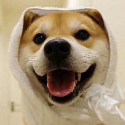 �ɰ���С����ϵ��ͷ��--²�������