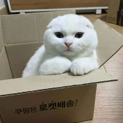 �ɰ���С����ϵ��ͷ��--²�������