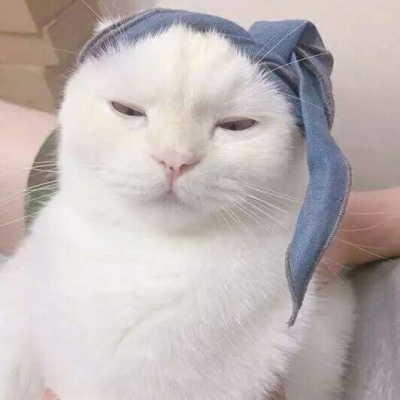 �ɰ���С����ϵ��ͷ��--²�������