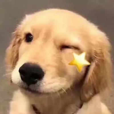 �ɰ���С����ϵ��ͷ��--²�������