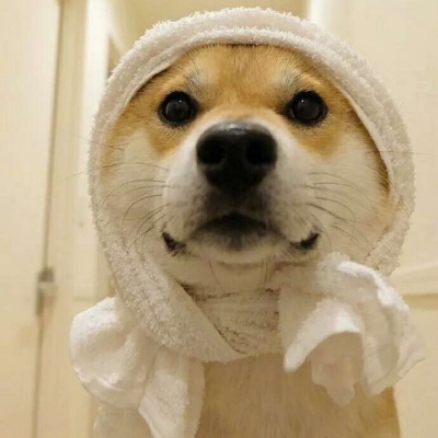 �ɰ���С����ϵ��ͷ��--²�������