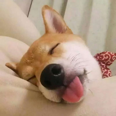 �ɰ���С����ϵ��ͷ��--²�������