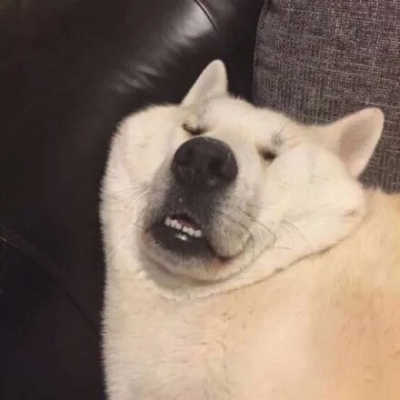 �ɰ���С����ϵ��ͷ��--²�������