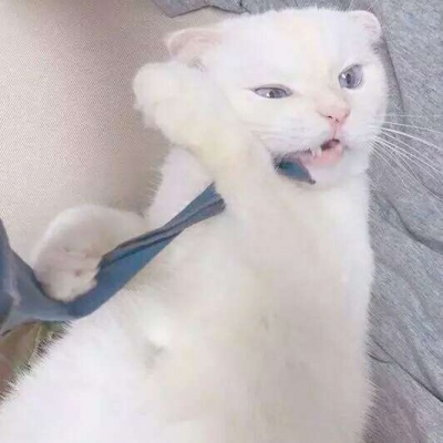 �ɰ���С����ϵ��ͷ��--²�������