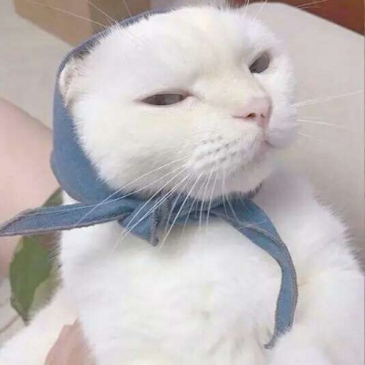 �ɰ���С����ϵ��ͷ��--²�������