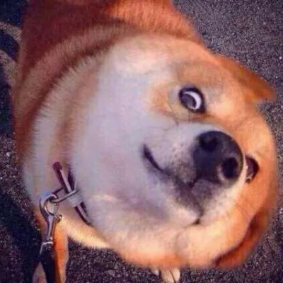 �ɰ���С����ϵ��ͷ��--²�������