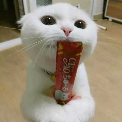 �ɰ���С����ϵ��ͷ��--²�������