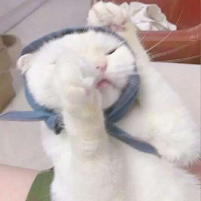 �ɰ���С����ϵ��ͷ��--²�������