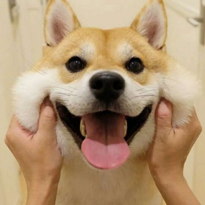 �ɰ���С����ϵ��ͷ��--²�������