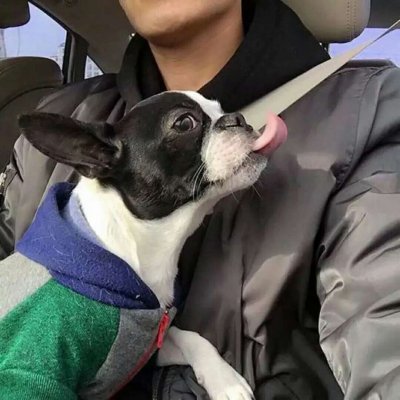 ��������ʱ������ͼƬ--���bro