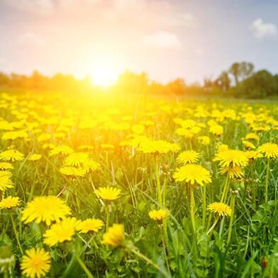 ת�˷�ˮ����õ�΢��ͷ���вƽ���-�ɰ���