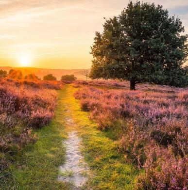 ת�˷�ˮ����õ�΢��ͷ���вƽ���-�ɰ���