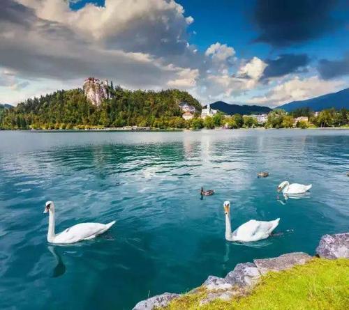 ת�˷�ˮ����õ�΢��ͷ���вƽ���-�ɰ���