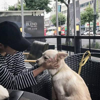 ϲ�������˧��ů��ͷ������ϵ Ϊ�˰��� �޹�Ц��