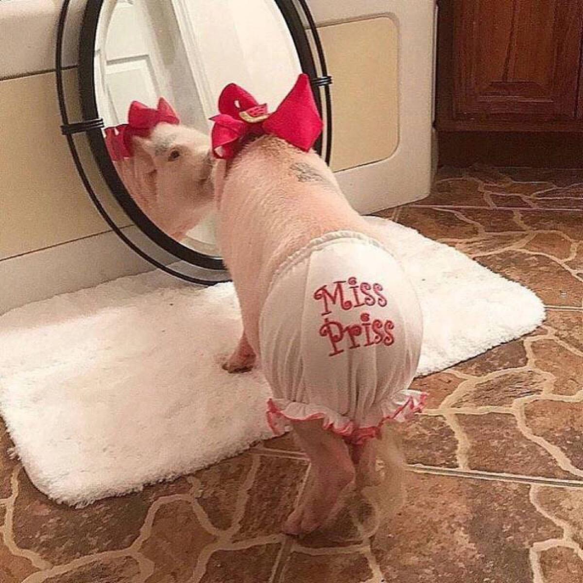 �Ĳ��˲��ɳ�����΢������ʹ��������