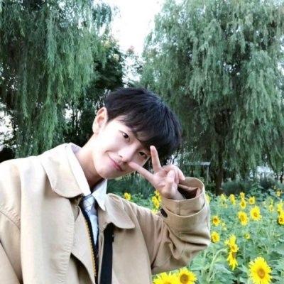 �����������ִ�ȫ��ߴߴ������������