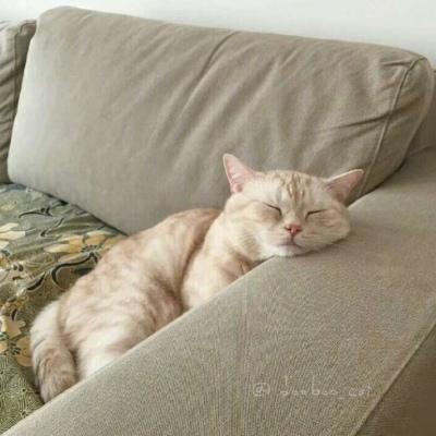 ɭϵ�շ�������ĳ������ִ�ȫ������-�ɰ���