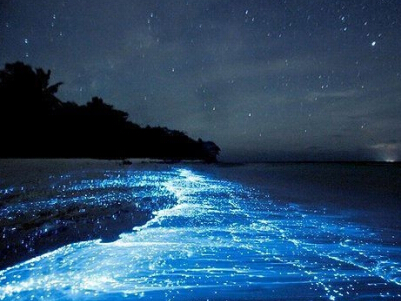 非主流名字设计:姐缺的不是空气是霸气