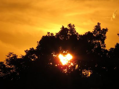 好听又忧伤的QQ昵称:自古痴情、终成空