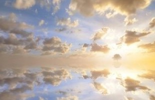 ��������������ȫ��Flower * ����