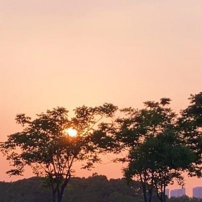 �������׵ľ����������ּ�˳��-�ɰ���