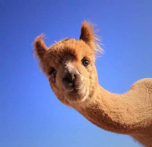 �ӵ����ĳ����������������¾��ǳ���-�ɰ���