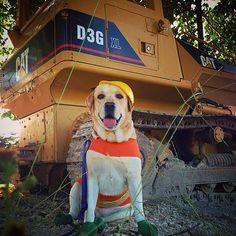 �������ִ�ȫ�����ո��������޾����ٳ�-�ɰ���