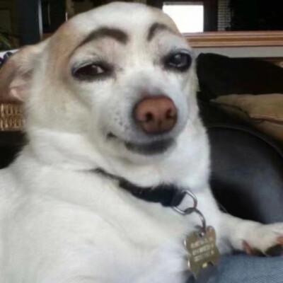 ������Ȥ�ĳ������ִ�ȫ��������-�ɰ���