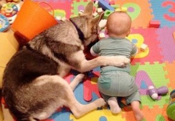 ڶг��Ĭ�������������ؼҲ������~