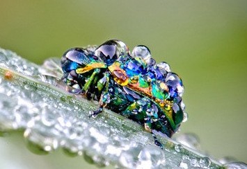 �ÿ����߸������֣��ݢ�Ȣ������